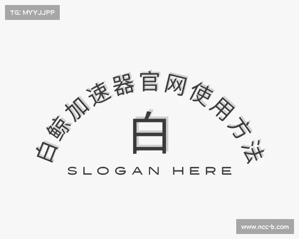 认识白鲸加速器官网使用方法